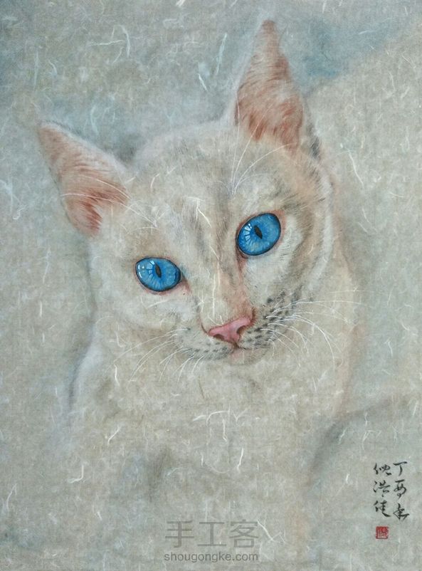 猫奴福利:听说她的眼里住着一片蓝色海