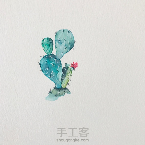 【水彩】小清新仙人掌🌵水彩手绘