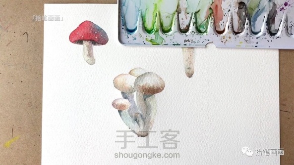 【水彩】手绘菌菇3