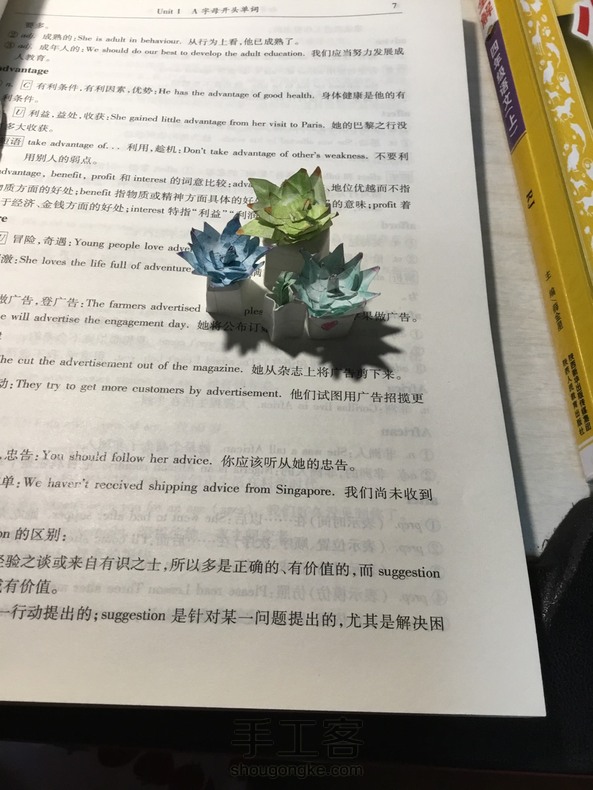 可耐小多肉(原创)