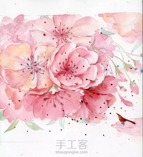 水彩教程:花鸟集系列6《樱语》