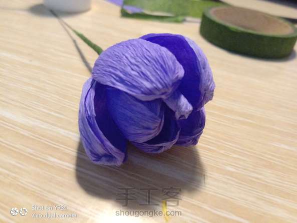 皱纹纸无名小花
