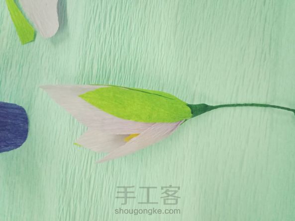 奇小花(皱纹纸花)