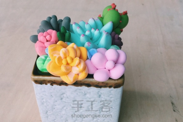 不要浪费花盆,那就为它做盆多肉吧
