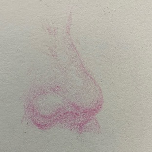 【彩铅五官】——《鼻子画法》