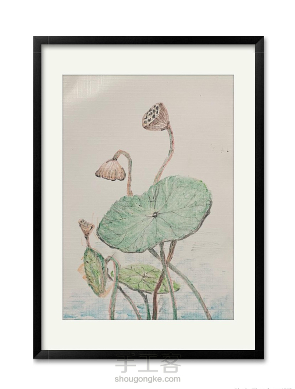 【色粉画】——《莲蓬》