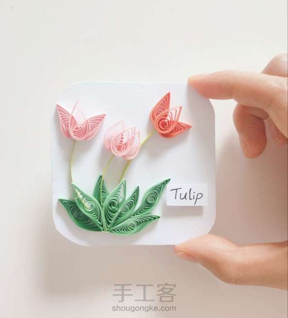 【衍纸🍧 教程】郁金香🌷 Tulip