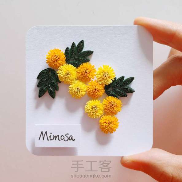 【衍纸🤹教程】含羞草🔸 Mimosa