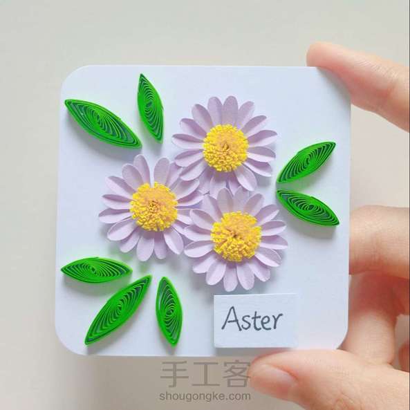 【衍纸🎐教程】翠菊🧚Aster