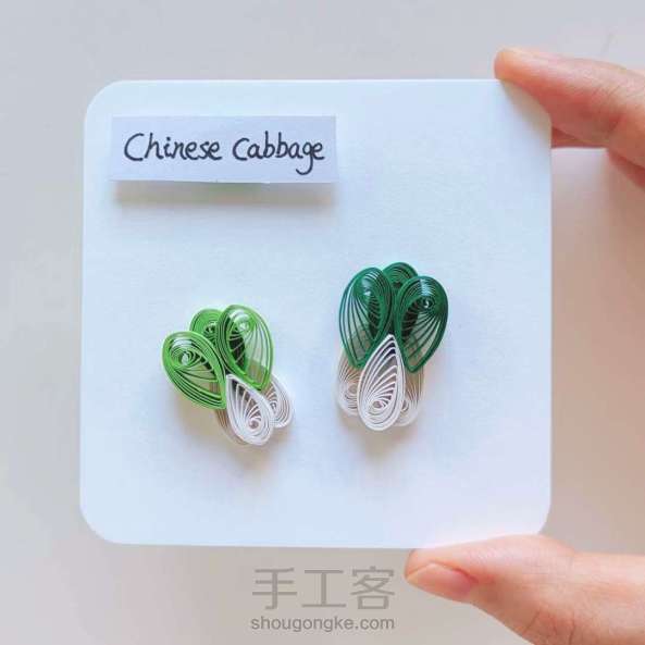 【衍纸教程】大白菜🥬Chinese cabbage