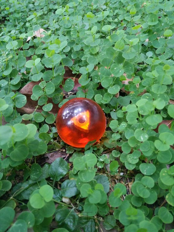 新七龙珠之一星