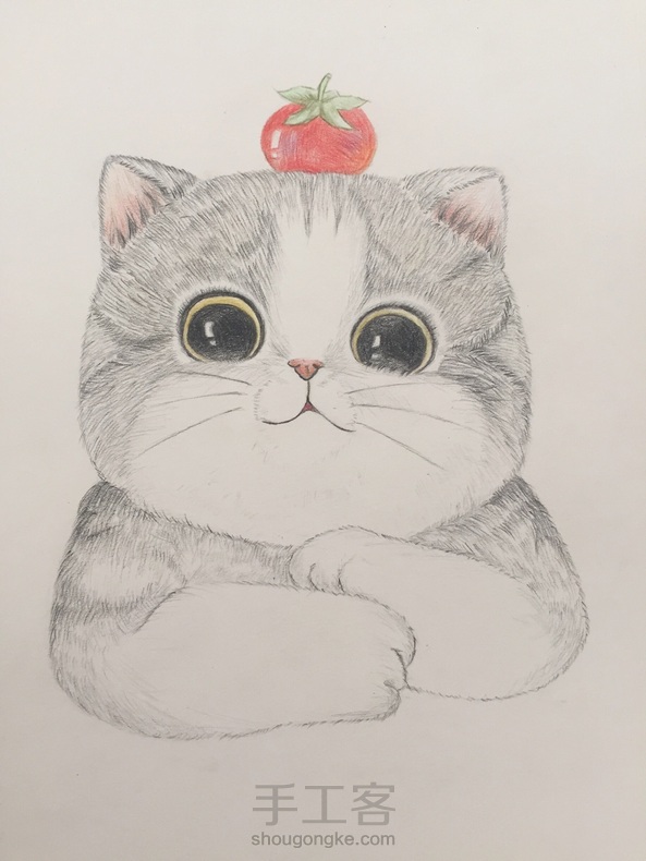 一只蠢萌猫(彩铅 手绘 临摹)