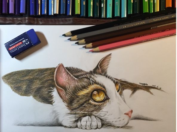 彩铅手绘猫咪