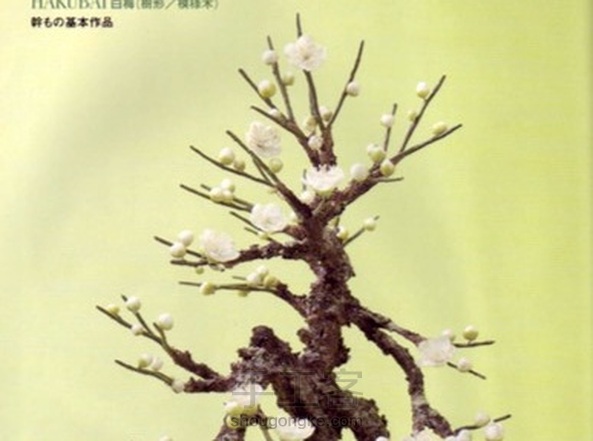 【转载汉化】文艺的粘土白落梅盆栽教程