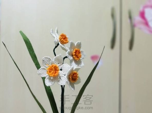 水 仙(记录)