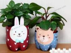 小兔和小熊是童话故事里常出现的主角，做两个小熊小兔花盆，小朋友一定很开心