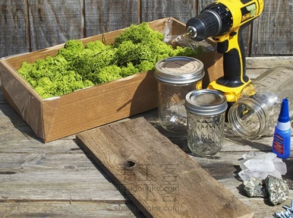 教你用罐头瓶DIY自己的绿植生态系统