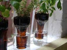 啤酒瓶变身花瓶diy教程