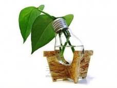 旧灯泡的18种好玩用法