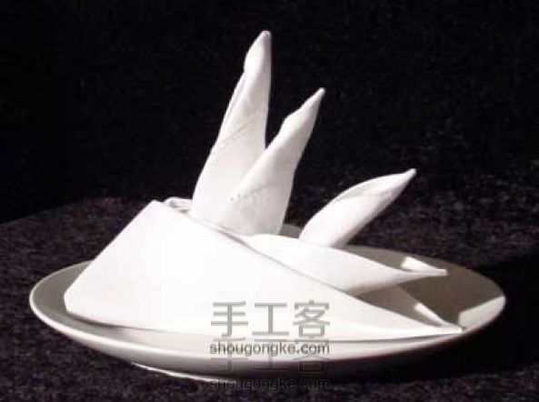 餐巾纸的折叠——天堂鸟