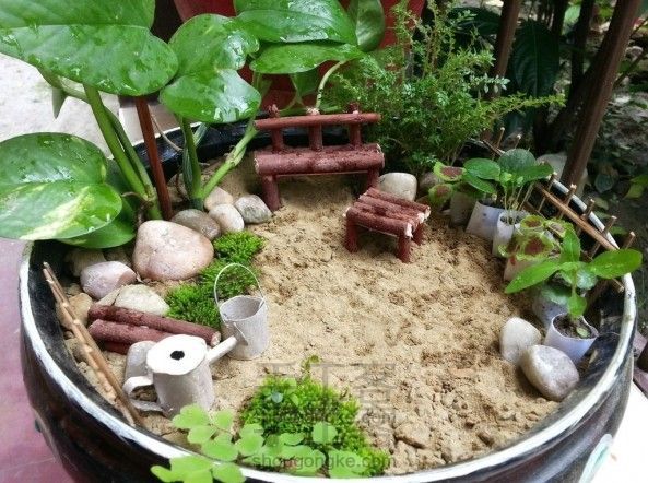 迷你花园(新手请进~)