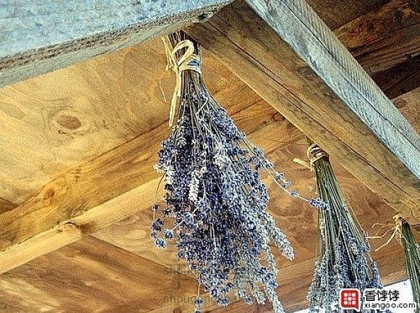 非常简单实用的干花制作方法-鲜花自己制作干花