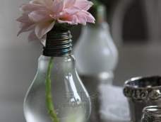 利用家中废旧物改造成花瓶，给生活增添意趣，说不定还会诞生伟大的作品哦~