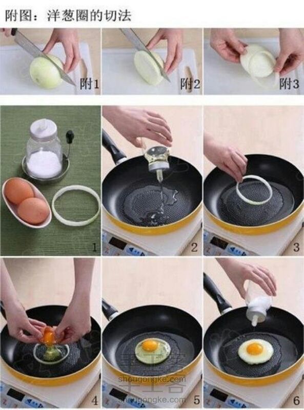 洋葱和蛋蛋