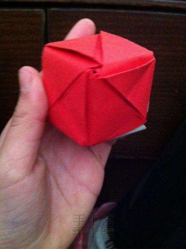 魔方玫瑰(绿叶)