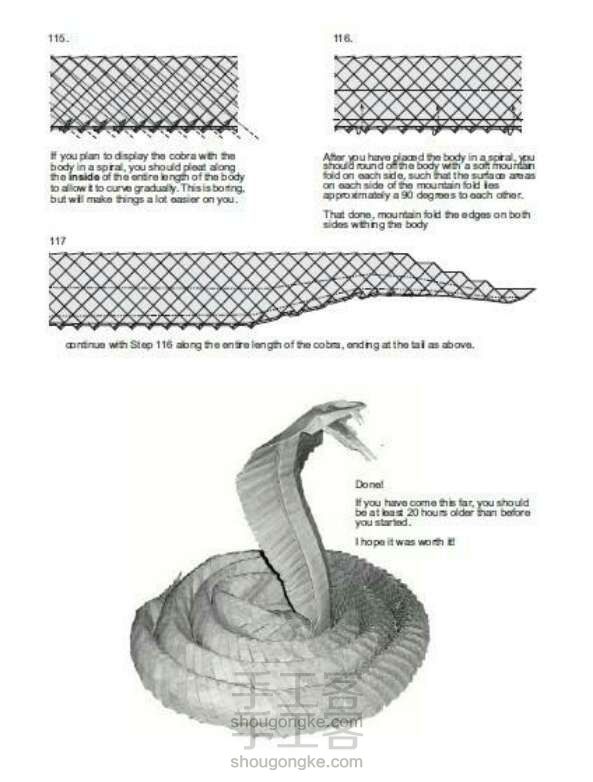 Ronald Koh眼镜蛇