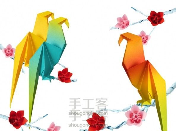 金刚鹦鹉的折纸教程图解