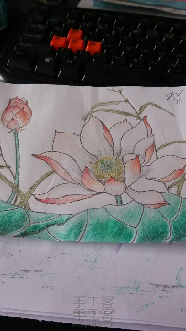 画彩铅画－－荷花