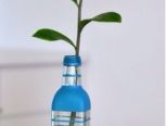 瓶子也可以做花瓶