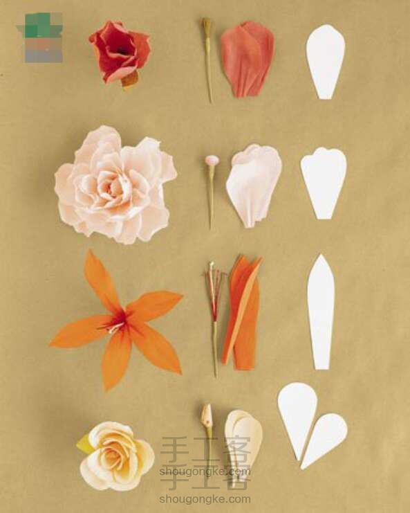 多款简单漂亮的纸花制作方法