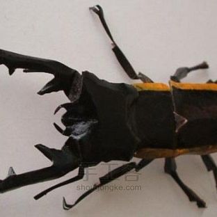 昆虫折纸方法图解