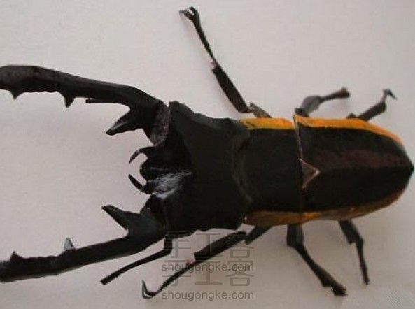 昆虫折纸方法图解