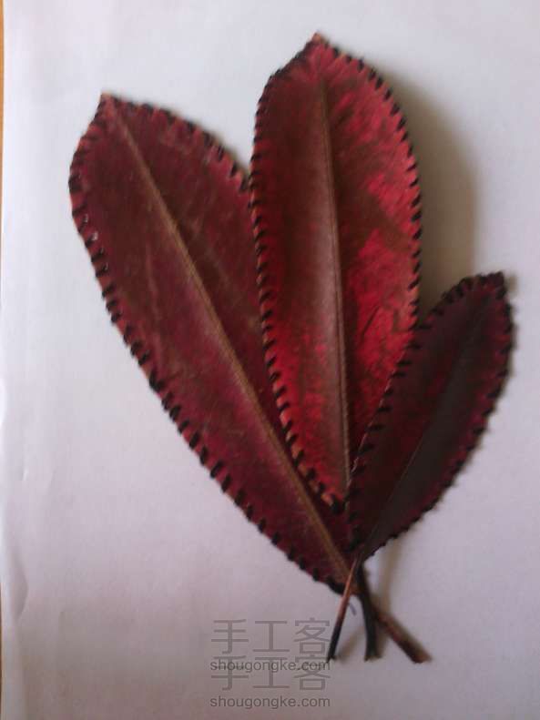 树叶做的书签