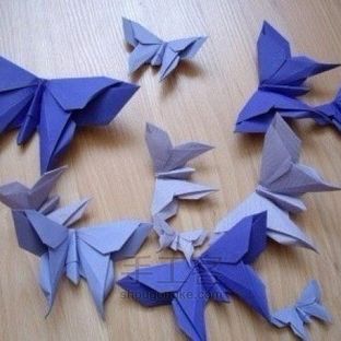 教你一款美丽的蝴蝶折纸方法