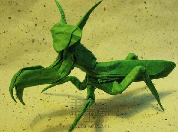 昆虫折纸图解教程—螳螂的折纸方法