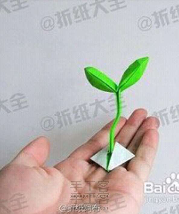 折纸小绿芽