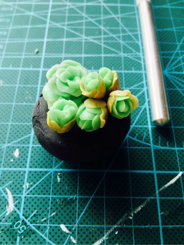 软陶多肉植物教程(第三弹山地玫瑰)