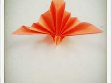 孔雀手工折纸教程