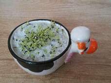 绿色茶杯小盆栽