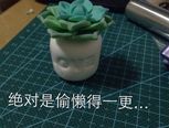 轻粘土多肉植物制作教程