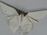 折纸——蝴蝶  教程