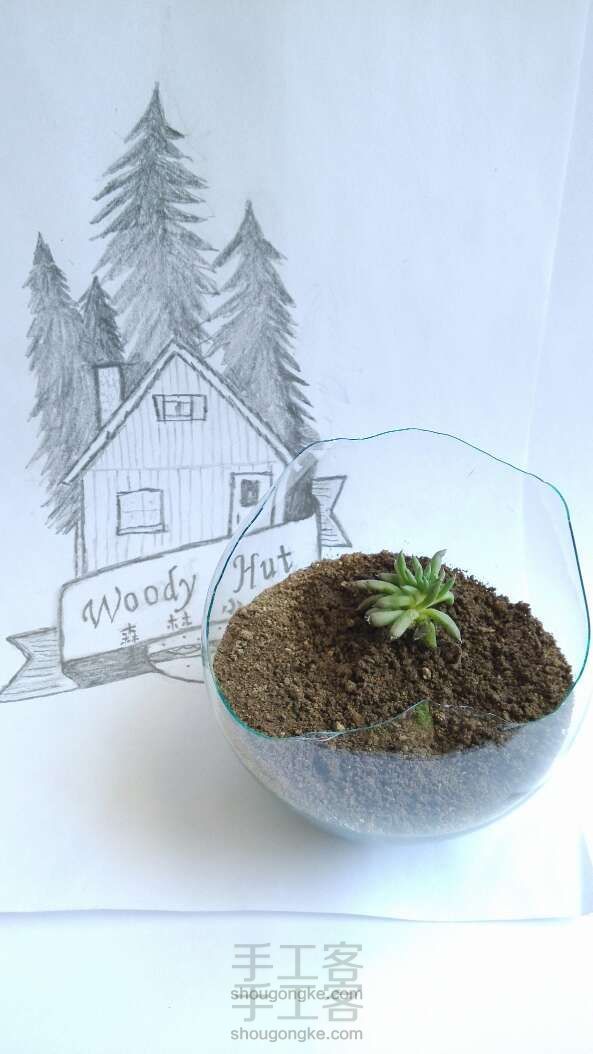 灯泡diy小植物