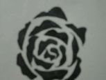 漂亮的手画玫瑰，简单易学~