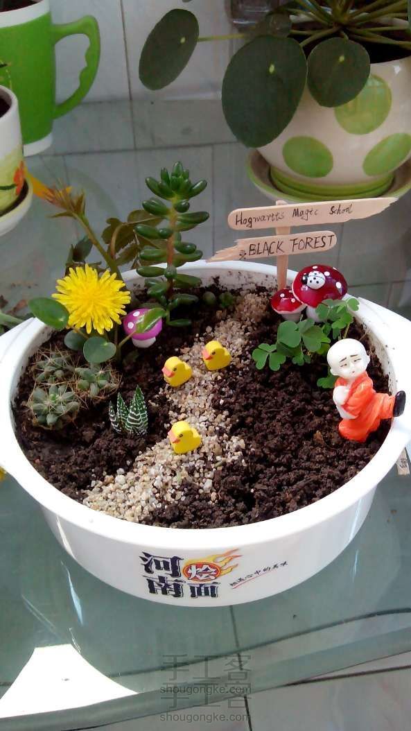 清新小盆栽 园艺盆景DIY