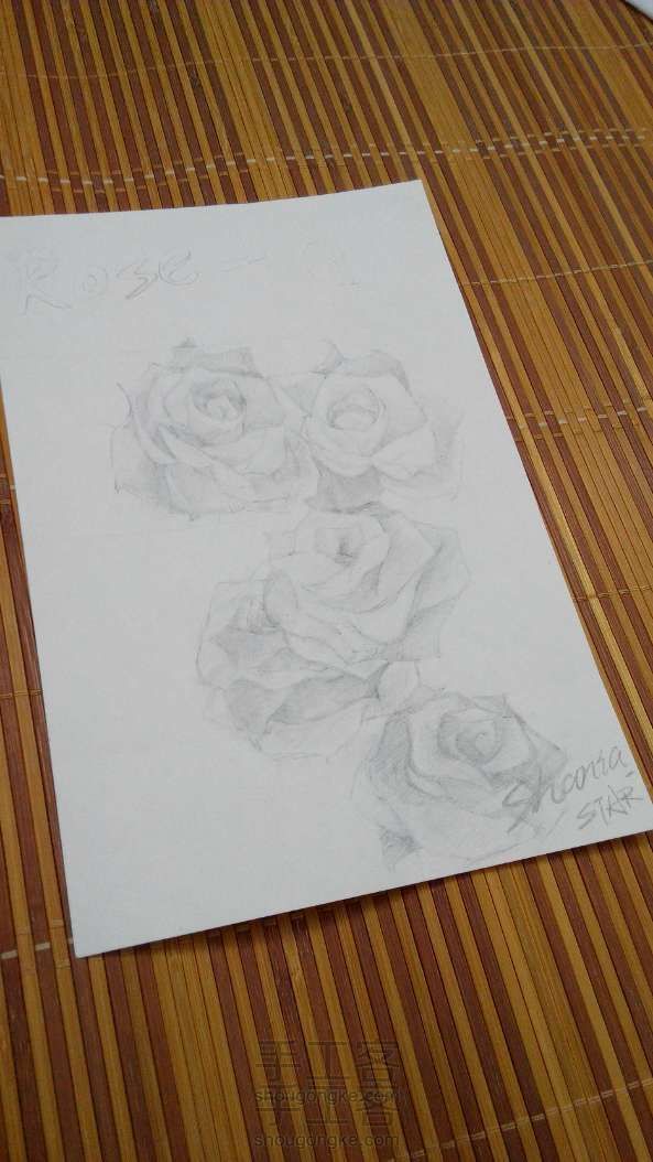 手绘浅色玫瑰。