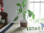 布丁瓶DIY森系花瓶手工教程